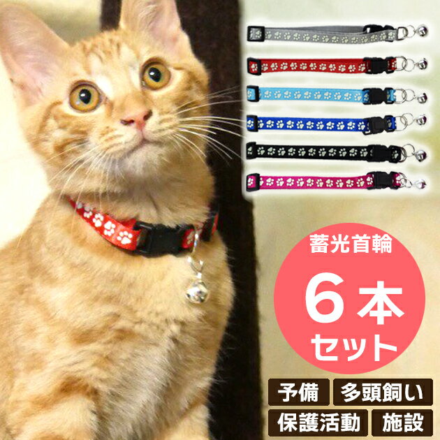 【6本セット】犬 猫 首輪 蓄光首輪 まとめ買い 保護猫 保護施設 シェルター 譲渡会 多頭飼い 予備 ブリーダー 肉球 可愛い かわいい シンプル アジャスター 鈴 付き サイズ調整可能 迷子札 迷子猫 暗闇 光る 首輪 肉球が光る首輪 大袋 業務用 お買い得 同色セット ミックス