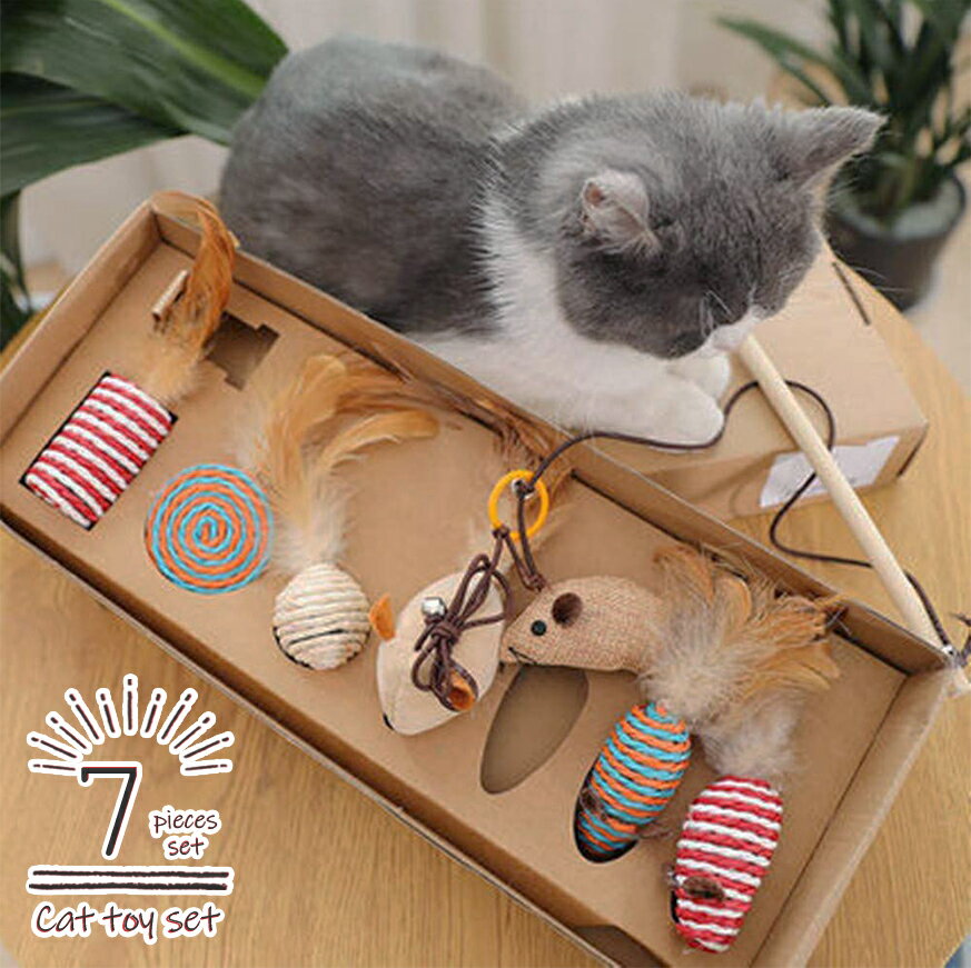 【 10％off 】 猫 おもちゃ ねこじゃらし 猫じゃらし セット 猫のおもちゃ 猫用おもちゃ 玩具 ボックス BOX 釣り竿タイプ 猫用品 一人遊び 猫用グッズ ねずみ 麻 羽 玩具 猫オモチャ 猫用デイリーグッズ おしゃれ ねこ ネコ オモチャ ネズミ 猫用 誕生日