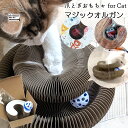 猫用 おもちゃ マジック オルガン 段ボール 爪とぎ 猫 鈴ボール付き ダンボール 鈴入り ボール 折り畳み式 両面使える スクラッチャー マジックオルガン ガ...