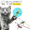 猫じゃらし 釣り竿 タイプ トンボ 猫用 おもちゃ レッド グリーン ピンク イエロー デザインおまかせ ねこ 釣竿 つり竿 運動不足 ストレス解消 夢中 に ...