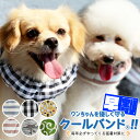 クールバンド (保冷剤5個付き) 犬 クールバンダナ 【全品ポイント20倍】ペット用暑さ対策 犬用猫用 熱中症対策 首ひんやり 冷却 首冷やす つめたい ネッククーラー クールネック クールスヌード スカーフ 小型犬 中型犬 グッズ おしゃれ かわいい 散歩【メール便送料無料】