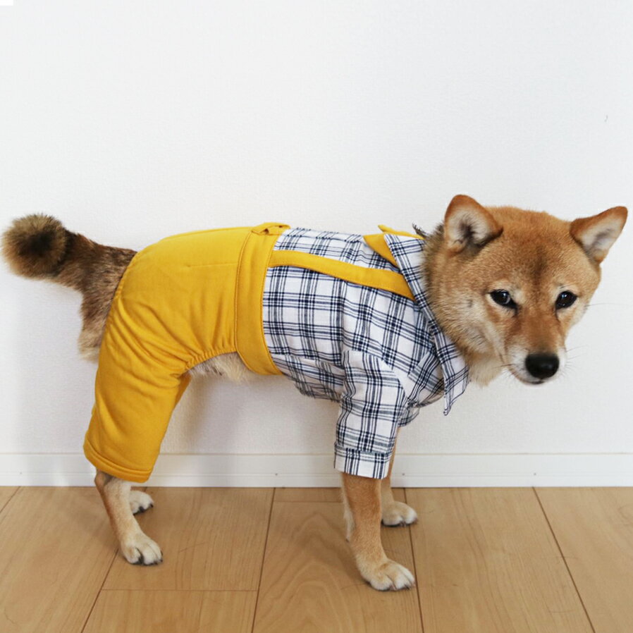 �� ��󥳥��� ���� �� �ɥå������� ���� �����륤���� �Ĥʤ� ����ѡ��� ������ �����å� �����ڥ���� ���� �糰���к� µ���� ĳ�ͥ����� �ܡ����å��� �����奢�� ������ �� �� ��ޯ�� ������� �ˤλ� S M L ��