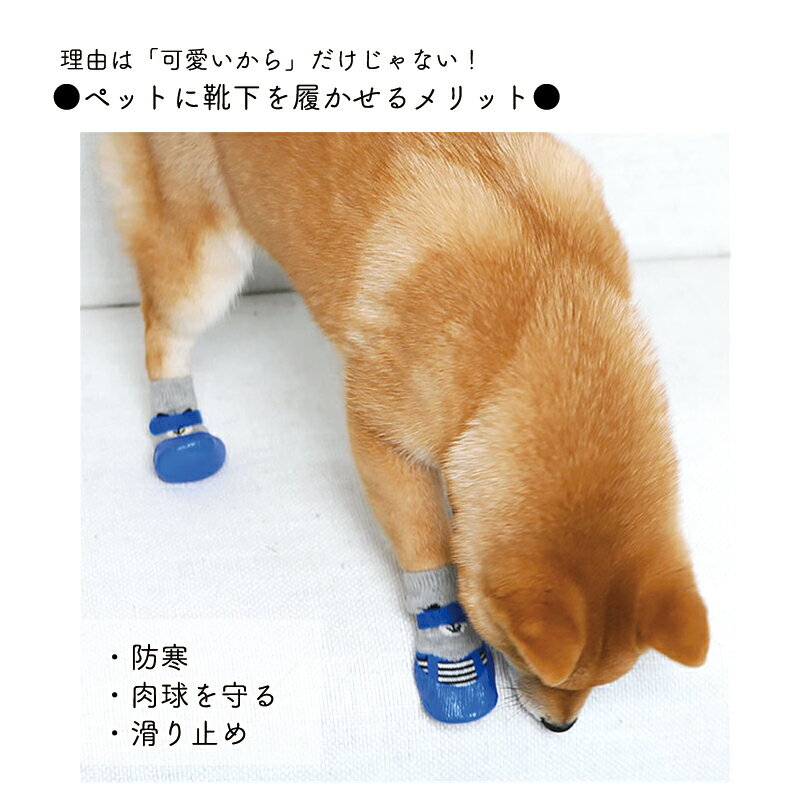 ペット用シューズソックス犬用シューズ靴靴下クマちゃん柄防寒寒さ対策シリコンドッグソックス