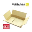 ダンボール 120サイズ 1枚だけ購入 長さ600mm×幅385mm×高さ110mm 0-0ケース アパレル用 横長 洋服を送る しっかりしている 丈夫 保存箱...