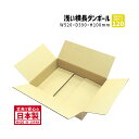 ダンボール 120サイズ 10枚セット 長さ520mm×幅390mm×高さ100mm P-4ケース アパレル用 洋服を送る しっかりしている 丈夫 保存箱 段ボ...