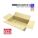 ダンボール 170サイズ 大きいダンボール 横長10枚セット 長さ900mm×幅500mm×高さ210mm S-3ケース 高さが低い ネット用 アパレル用 長さ...