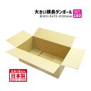ダンボール 160サイズ 大きいダンボール 10枚セット 長さ800mm×幅470mm×高さ300mm TY-No.1ケース 横長 アパレル専用 着物が入る ド...