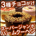 【半額以下】【本日最終日!】新...