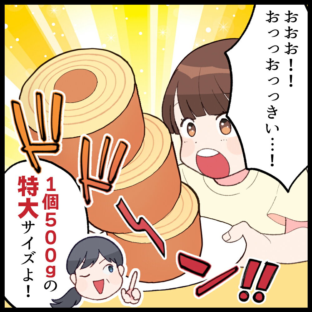 ★【クーポン利用で5,000円→2,099円！】スーパージャンボクーヘン5種の味から選べる3種セット 1個500gの超ド級バームクーヘンが3つ入り！ 訳アリ わけあり 訳あり おやつ おかし スイーツ お菓子 送料無料 福袋 在庫処分