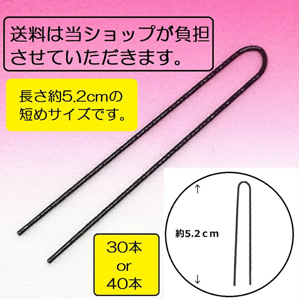 送料無料 ポイント消化 30本 40本 オ