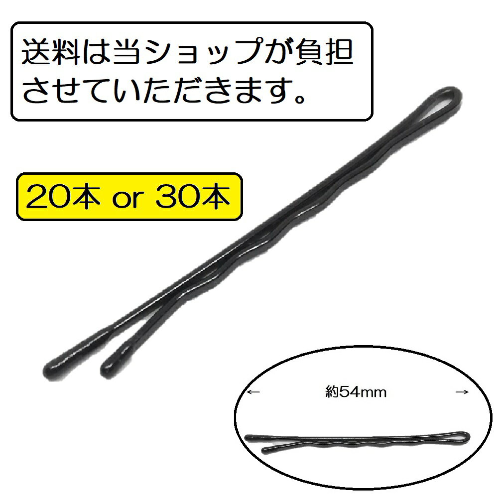 送料無料 ポイント消化 54mm 20本入り