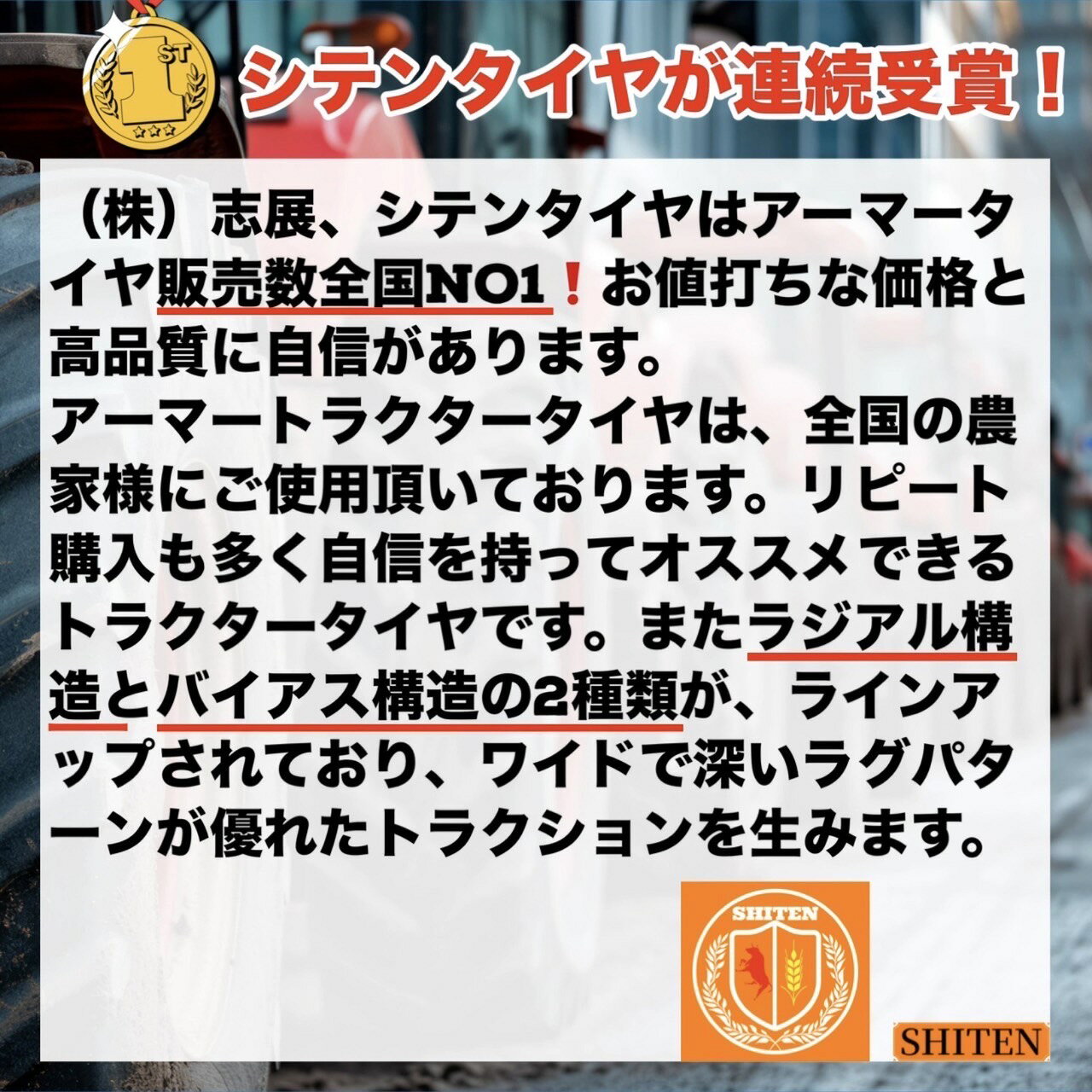 フォークリフトタイヤ 250-15/20PR T/Tタイヤ（チューブ＆フラップ付） 製造会社ア...