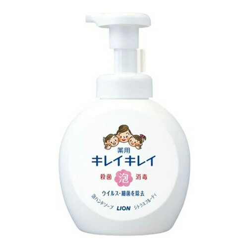 Rakuten - キレイキレイ泡ハンドソープ 大型 500ml／4903301269052 -ka