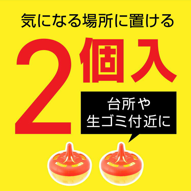 アース コバエがホイホイ 2個入 4901080280916 -mi 虫除け 殺虫剤