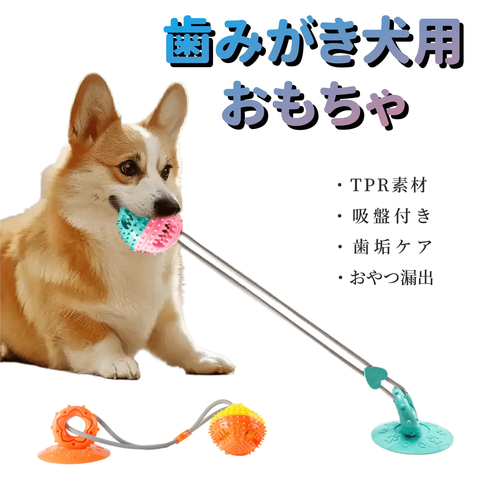 2025年新作犬おもちゃ歯みがき吸...