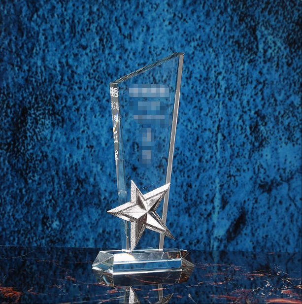 20CM 【文字刻印無料】クリスタルトロフィー カスタマイズ アイデア ゴールド シルバー どうしょく メダル枚 企業賞 表彰台 表彰 表彰品 社内表彰 名入れ クリスタル 卒業記念品 卒業 記念品 優勝トロフィー クリスタル