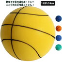 【送料無料】室内用 室内遊び 静音 安全 室内遊び 家庭用 ボール 柔らかい バスケットボール バスケット付き 静音ボール