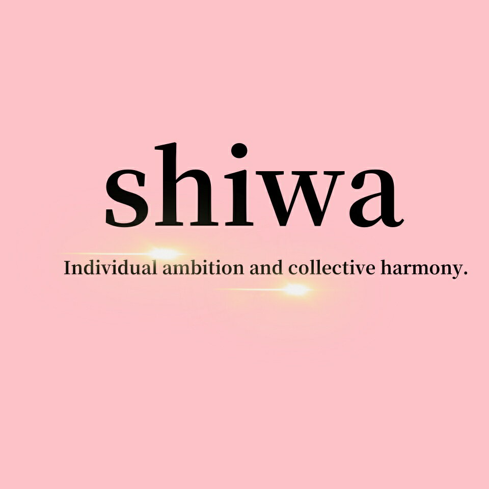 Shop icon