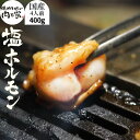 国産 牛 秘伝の塩だれホルモン 400g 味付きホルモン バーベキュー BBQ 焼肉 ホルモン鍋 お試し 御祝い ホルモン揚げ もつ鍋 ホルモン焼き ホルモン 夏休み お中元 御中元 家飲み 御祝い お祝い 誕生日 ミックス