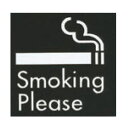 アクリルマットブラックプレート ACMB-030 粘着テープ付 40mm角 HCP/喫煙所/SMOKING PLEASE/サインプレート/マンション/アパート/...