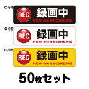 ドライブレコーダーステッカー 普通車用・50枚セット W300mm×H90mm C-94/C-95/C-96 ドラレコ ドライブレコード搭載 録画中 車 あおり...