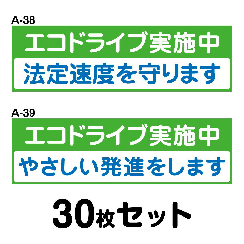 【マグネット変更OK】エコドライブ