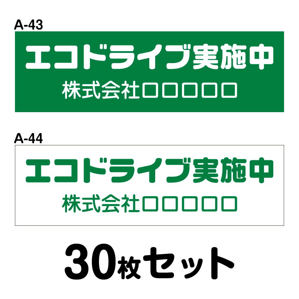 エコドライブステッカー 普通車用