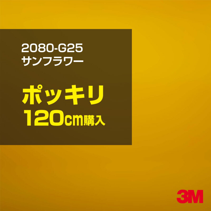 3M カーラッピングフィルム 車 ラッピングシート 2080-G25 サンフラワー 【W1524mm×120cm】 2080G25 旧品番: 1080-G25 グロス 光沢あり 艶あり 保護フィルム 黄 イエロー カーラップフィルム DIY 外装 内装 ボンネット スリーエム 送料無料