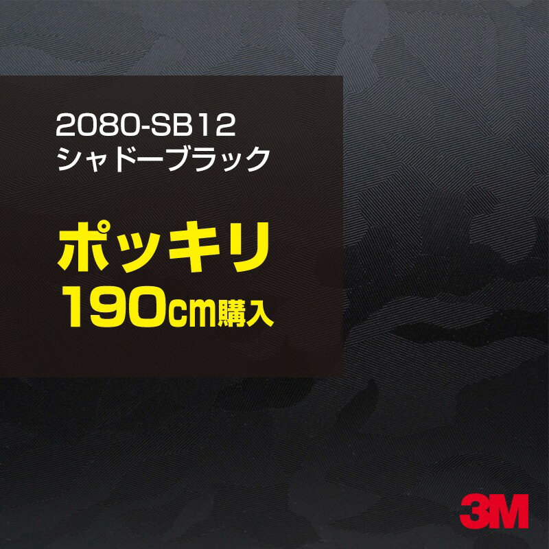 3M カーラッピングフィルム 車 ラッピングシート 2080-SB12 シャドーブラック 【W1524mm×190cm】 2080SB12 旧品番: 1080-SB12 迷彩 カモフラージュ 黒 カーラップフィルム DIY 外装 内装 ボンネット スリーエム 送料無料