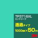 3M TP3716XL ミントリーフ 1000mm幅×50m/3M スコッチカルフィルム XLシリーズ 透過タイプ/カーフィルム/カッティング用シート/青(ブル...