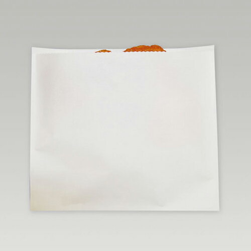 惣菜袋Mサイズ(無地)　4000枚入