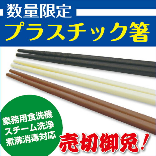 数量限定激安！プラスチック箸 100膳入(白のみ)