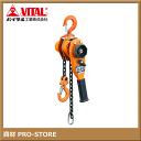 【バイタル工業】Vレバー 0.8t用 レバーチェーンブロック3/4T VR2-08
