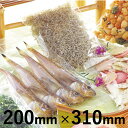 明和産商WPタイプ WP-543 横200mm×縦310mm 1ケース 4000枚入