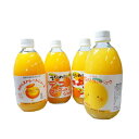 当店オリジナル！瀬戸内の柑橘ジュース 飲み比べセット　500ml×12本　伯方果汁 無添加 ギフト プレゼント 母の日 父の日 御中元 御歳暮 お祝の商品画像