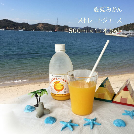 【果汁そのまま♪】みかんジュース　500ml×12本入 ｜ 