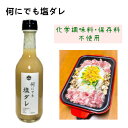 【2/15限定！エントリー&複数購入で最大P35.5倍】 何にでも塩ダレ300ml×1 本 / 化学調味料 着色料 香料 保存料 すべて不使用 無添加 国産