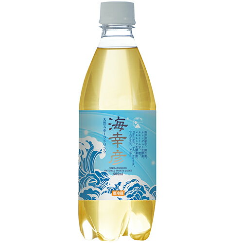 楽天自然絆ショップ海幸彦　天然スポーツドリンク 500ml