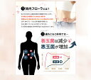 shizen-labo:10000006のサンプル画像2