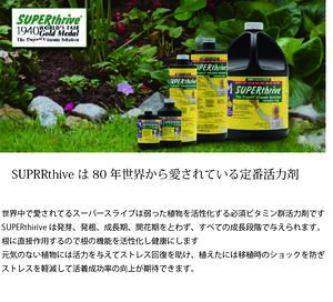 植物 活力剤 SUPERthrive 960ml（スーパースライブ）世界中で80年定番の必須ビタミ...