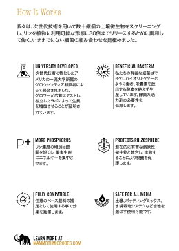 MammothP(マンモスP)250ml最大で16%の収穫増が見込める微生物資材(土壌接種剤)