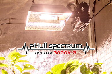 植物育成ライトLUMiiSOLARFixture315W+開花用PROの電球セット