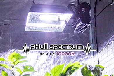 植物育成ライトpHullSpectrumCMHFixture315W+3100K+10000K4段階調光可能な太陽光に近いGrowLight