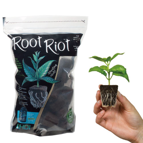 CLONEX　Root Riot Plant Starter Cubes 50