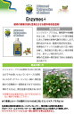 植物活力剤 植物 活力剤 肥料Enzymes+ エンジメスプラス 250ml 2