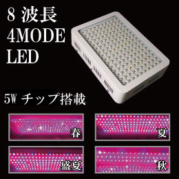 植物育成 発根促進剤 Led ライト 8波長 4mode 発芽 育苗 Led 595em 送料込 Grow 安定器 Led Lighting 水耕栽培の自然緑商事 植物育成 Led ライト 8波長 4mode Led 595em 送料込 8波長 4mode Ledは日本とアメリカのグロウショップと共同開発し 省エネ 実用効果を超