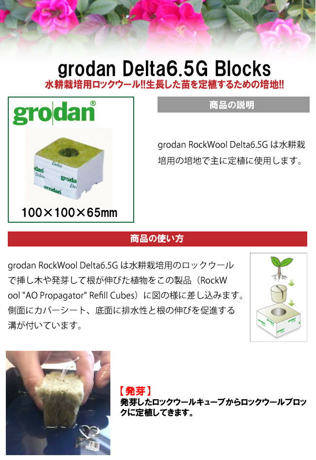 Salenew大人気 値下げ 水耕栽培 ロックウール ブロック型栽培マット Grodan Delta6 5g Block 挿し木や発芽して根が伸びた植物を定植する栽培マット Blocks Idvn Com Vn