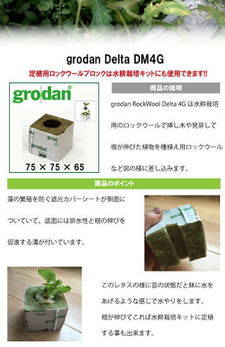水耕栽培の培地 ブロック型ロックウール grodan DM4G