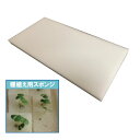 水耕栽培 植物栽培スポンジ 培地×10枚(23.5mm角が 300ピース入り×10枚) 液体肥料