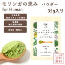 ●SS10%OFF!メール便送料無料【 モリンガの恵み/for Human パウダー35g 】国産 無添加 無農薬 モリンガ 自然栽培 子供 大人 男性 女性 ...